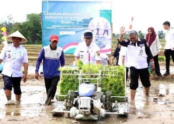 Gerakan Indonesia Menanam, Lampung Pacu Produksi Padi dan Serapan Gabah