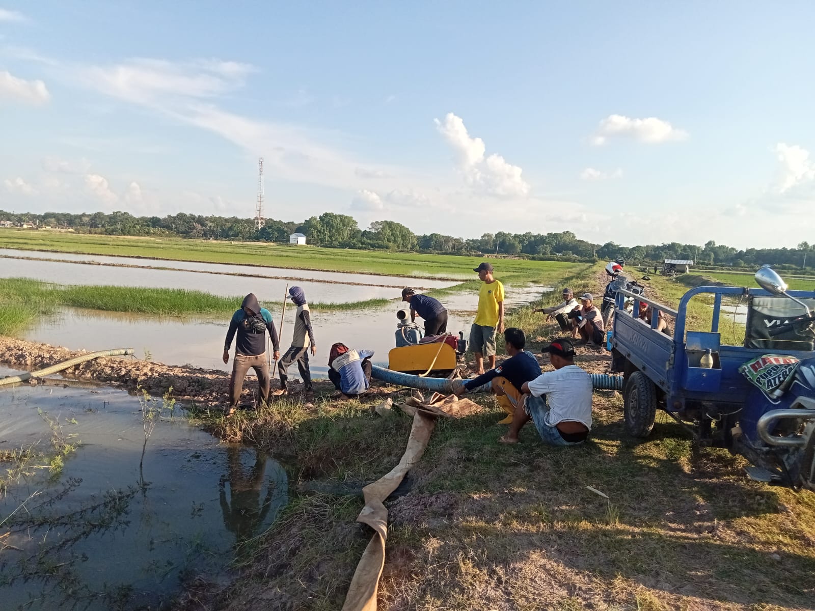 Ratusan Hektar Sawah Selesai Tanam,Terendam Banjir