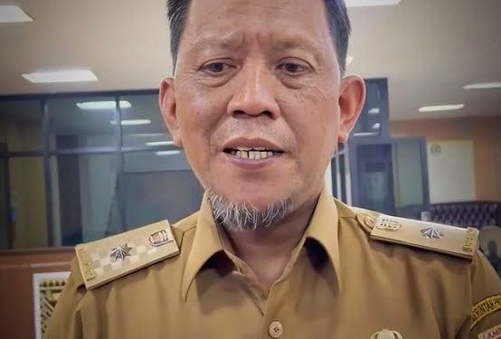 ‎Pemprov Lampung Siap Berkolaborasi Tangani Jembatan Viral di Pematang Sawa ‎